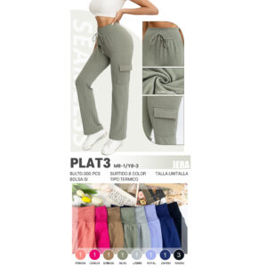 JERA-PLAT3