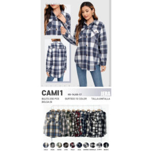 JERA-CAMI1