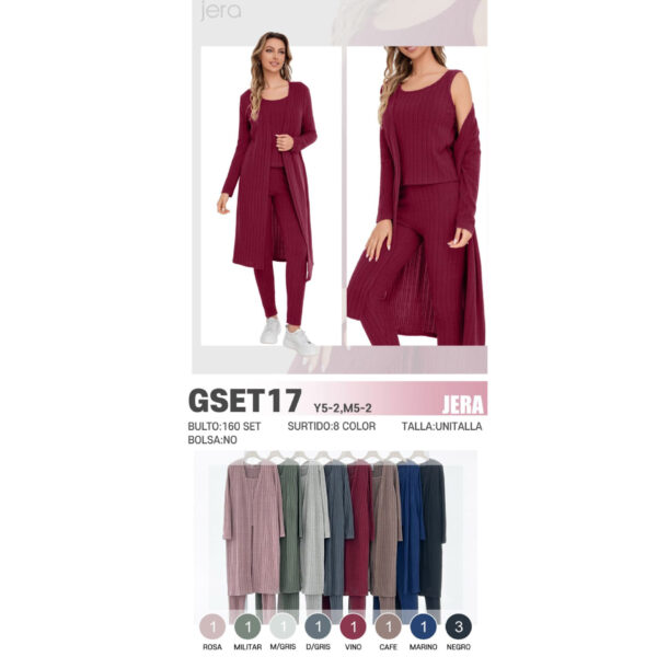 JERA-GSET17